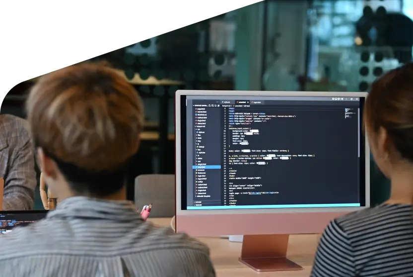 *Software Development*